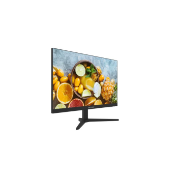 მონიტორი,Hikvision,DS-D5024FN10(European standard), 23.8